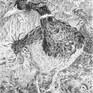view additional image 1