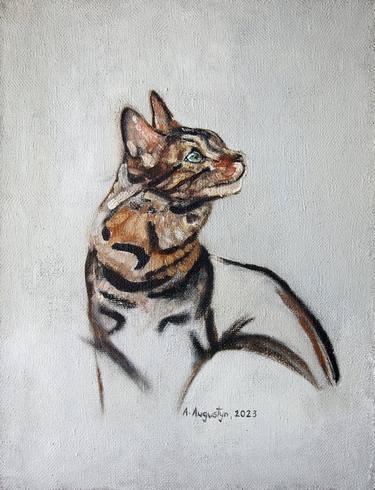 Original Figurative Cats Paintings by Amelia Augustyn