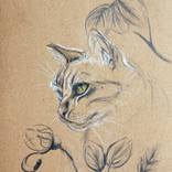 A cat in the garden by Amelia Augustyn