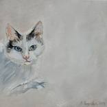 Ciciek by Amelia Augustyn