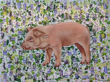 Original Animal Paintings by Amelia Augustyn