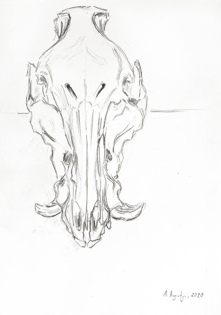 Study of boar skull III Drawing by Amelia Augustyn Saatchi Art