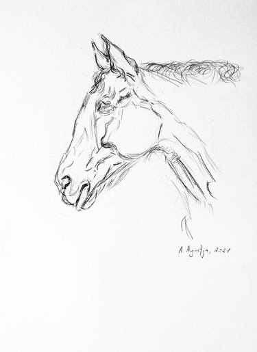 Print of Animal Drawings by Amelia Augustyn