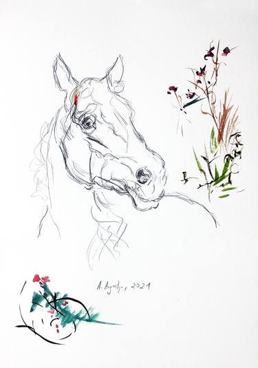 Original Animal Drawings by Amelia Augustyn