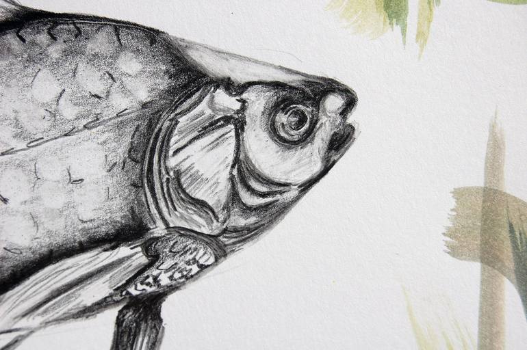 Original Fine Art Fish Drawing by Amelia Augustyn