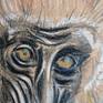 close-up details