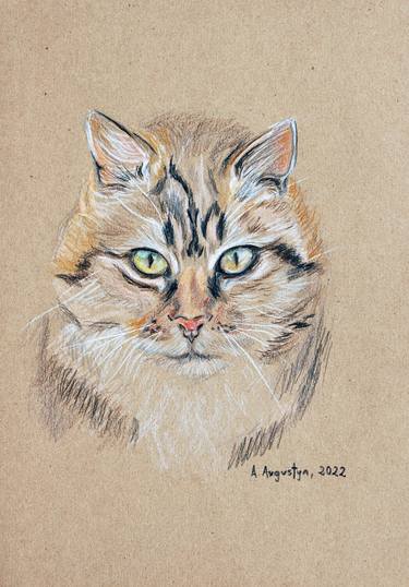 Print of Figurative Cats Drawings by Amelia Augustyn