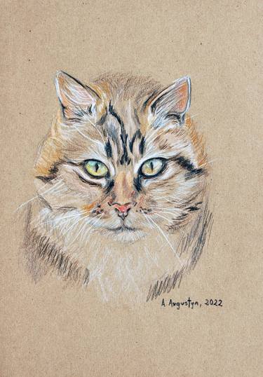 Original Figurative Cats Drawings by Amelia Augustyn