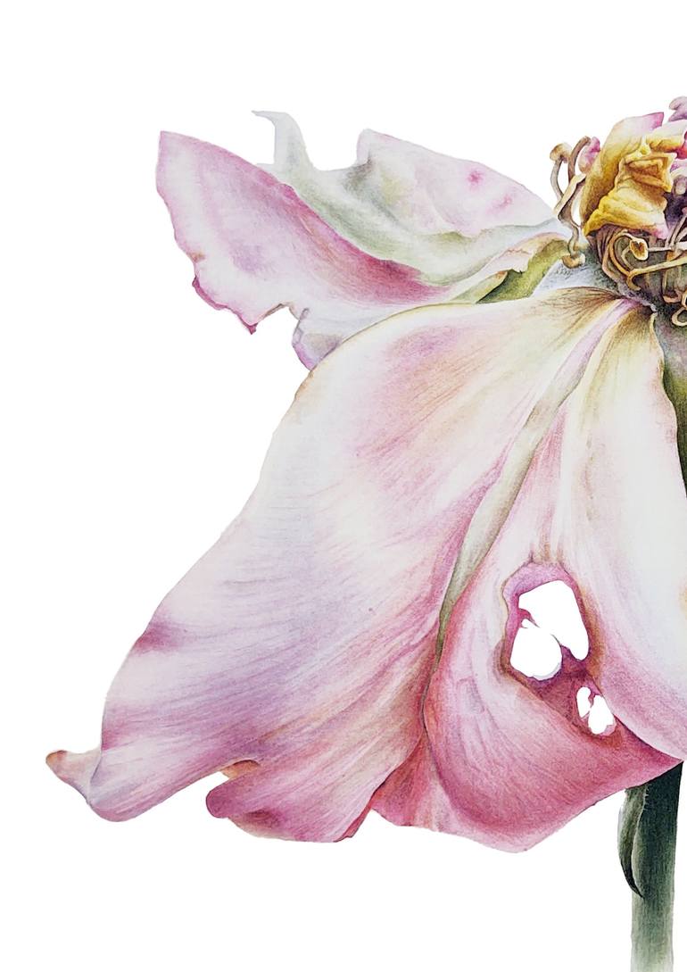 Original Illustration Botanic Painting by Yuliia Mazur