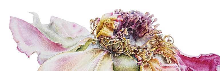 Original Illustration Botanic Painting by Yuliia Mazur