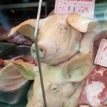 Pig heads for sale in a meat market by Owen Franken