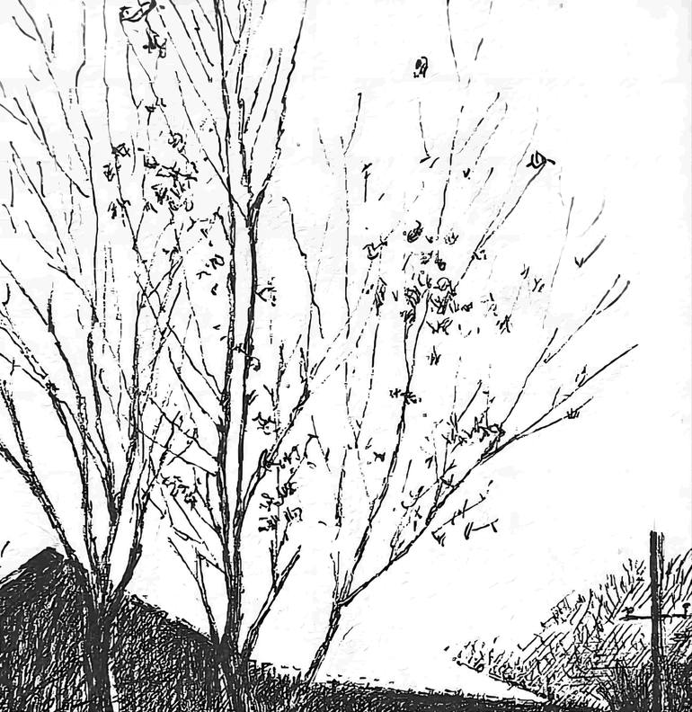 Original Black & White Light Drawing by Liu Helong