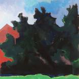 Three Corner Field by Rachael Adams