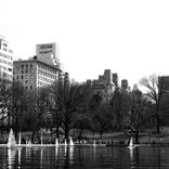 sailboats in spring by Johnny Shahnazarian