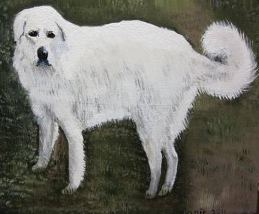 Maremma Sheepdog thumb