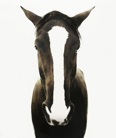 Original Fine Art Horse Paintings by Kenneth Peloke