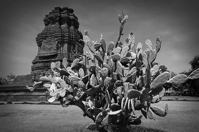 Original Architecture Photography by Yusuf Afandi | Black & White Art on Paper | Majapahit Resilience: Cactus and the Brahu Temple