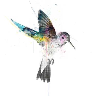 Hummingbird - Signed Limited Edition Print thumb