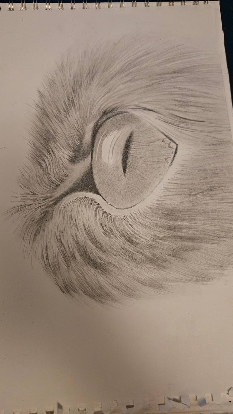 Original Illustration Animal Drawing by Brittany Campbell