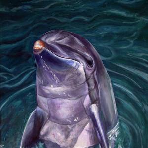Collection Aquatic Creatures in Art (not birds)