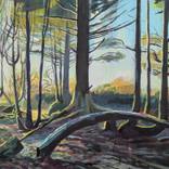 Forest at Sunset by Erica Lambertson
