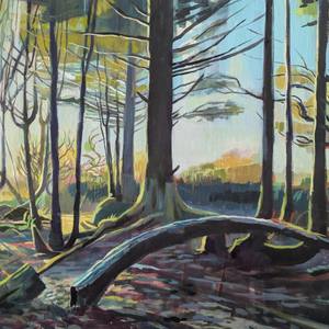 Forest at Sunset
