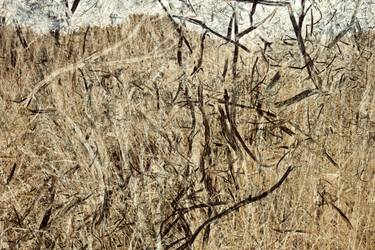 Original Contemporary Abstract Photography by Olga Astakhova