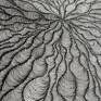 Organic lines radiating from a quiet center.