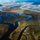 Wetlands around Wimbee Creek and Combahee River by J Henry Fair