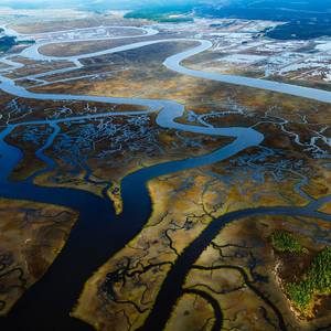Wetlands around Wimbee Creek and Combahee River