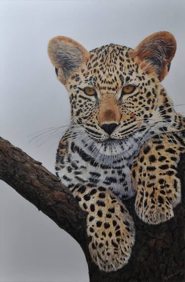 Original Realism Animal Painting by Yvonne Sommeling