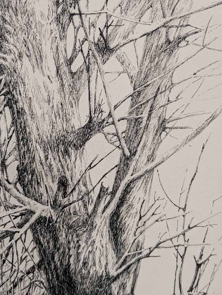 Original Black & White Landscape Drawing by Xiaoyu Cheng