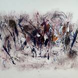 Series Dance of the werewolf 1 by Auke Mulder