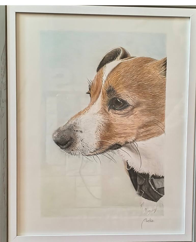 Original Black & White Animal Drawing by Sue Q Portraits
