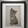 Graphite kitten drawing