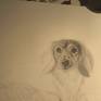 Always 100% hand drawn