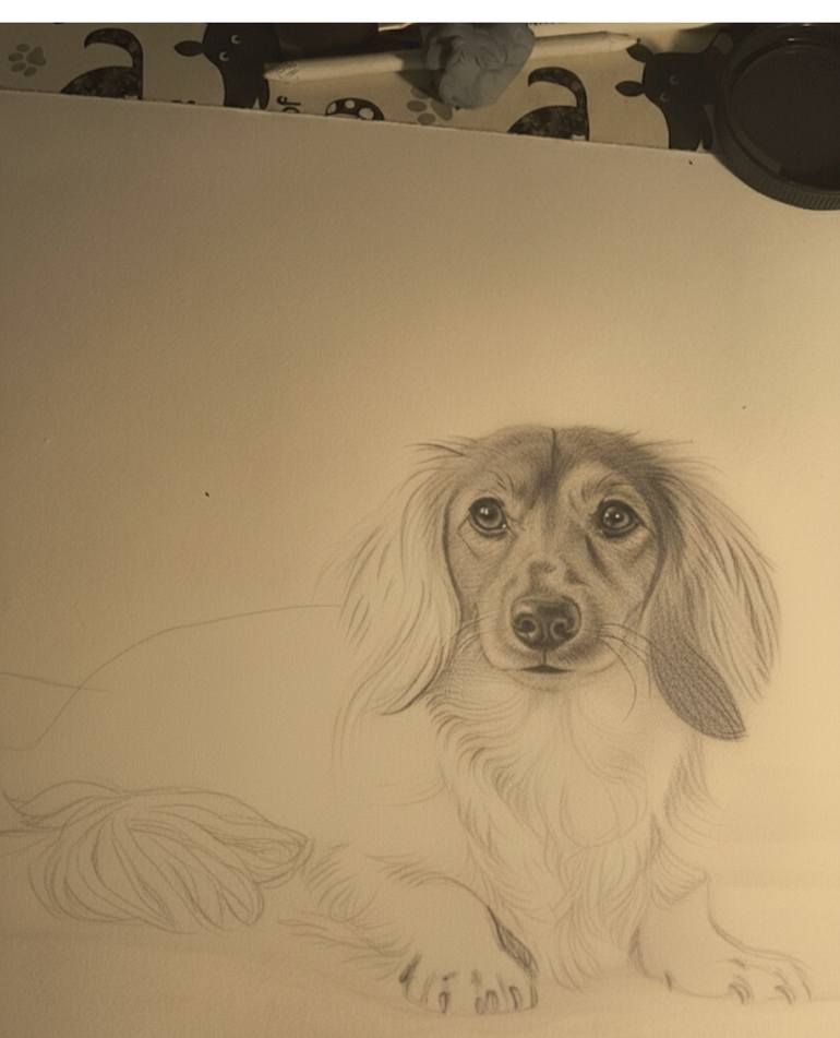 Original Black & White Animal Drawing by Sue Q Portraits