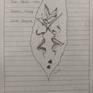 view additional image 1
