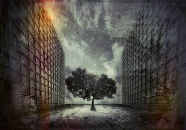 Print of Surrealism Places Photography by Gustavo Orensztajn