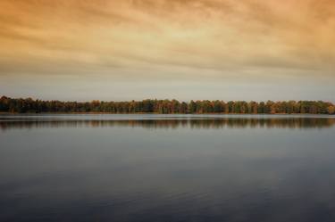 Tree Line thumb