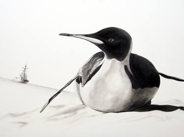 Original Animal Drawings by Martin Kalanda