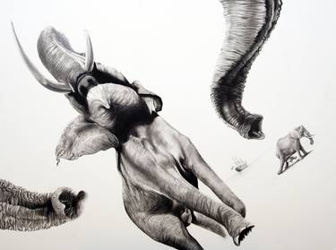 Original Animal Drawings by Martin Kalanda