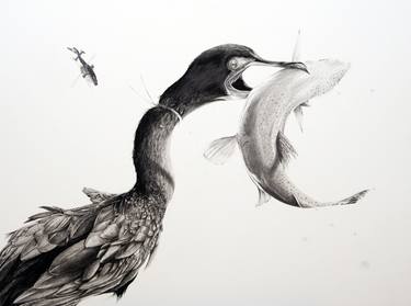 Original Illustration Animal Drawings by Martin Kalanda