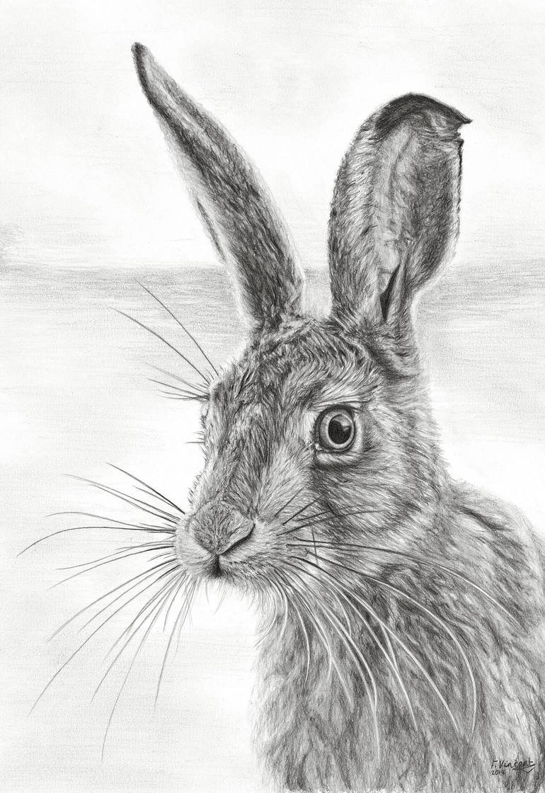 Mr Whisker - Print
