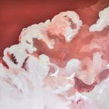 Feathers in the Mist by Mansi Aggarwal