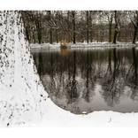 Collection Landscapes and Cityscapes