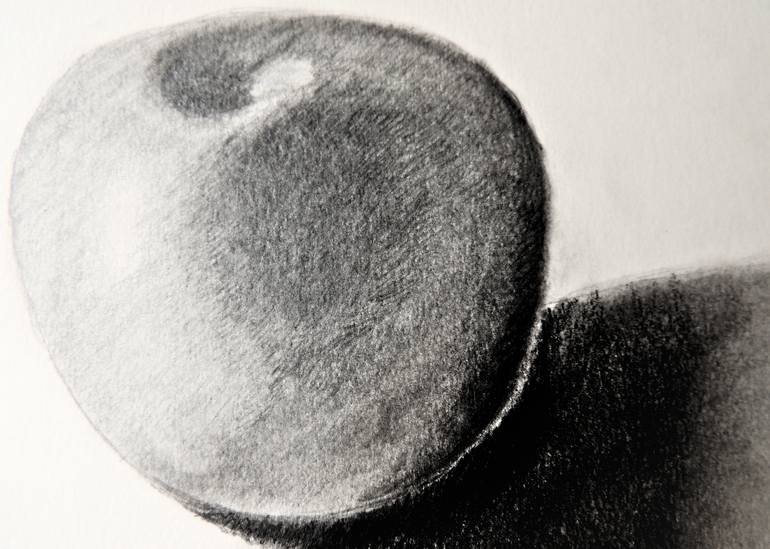 Original Realism Nature Drawing by Barbara Regina