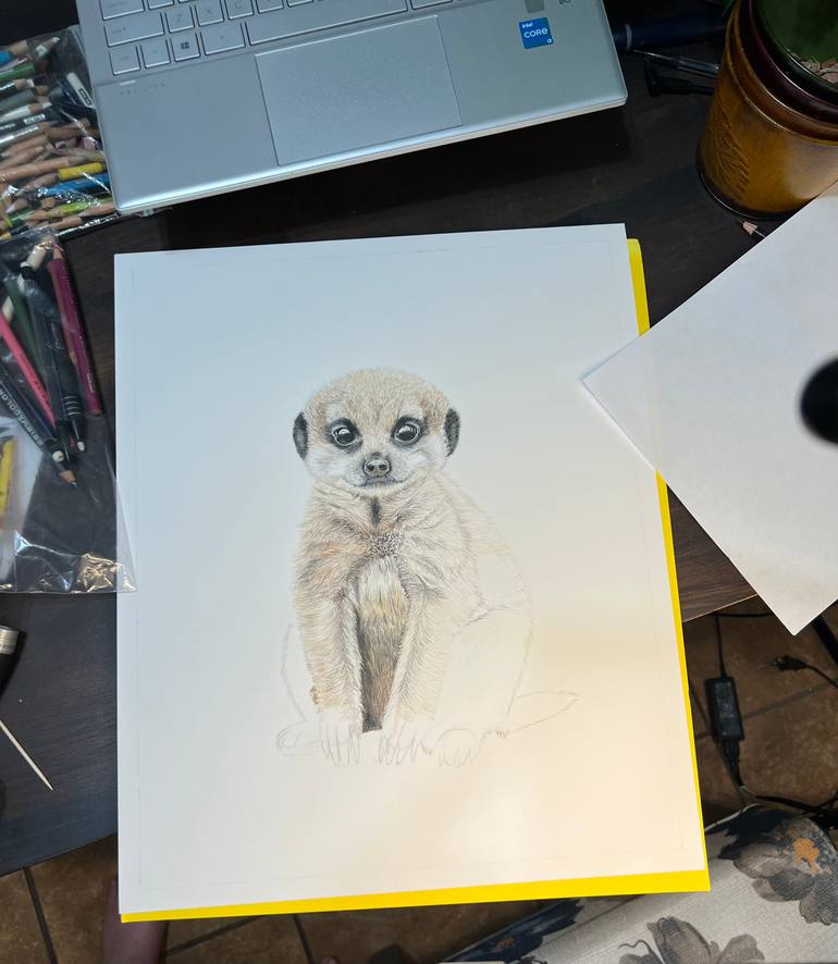 Original Photorealism Animal Drawing by Vanessa Lawrence