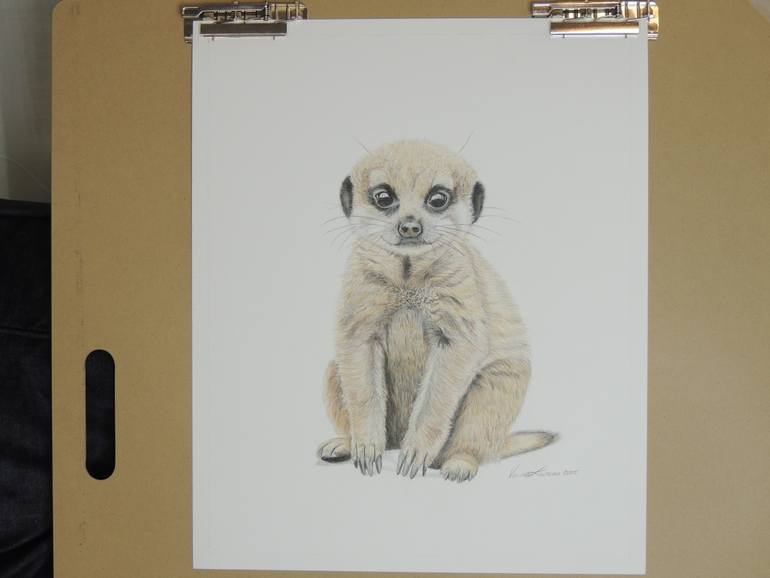 Original Photorealism Animal Drawing by Vanessa Lawrence