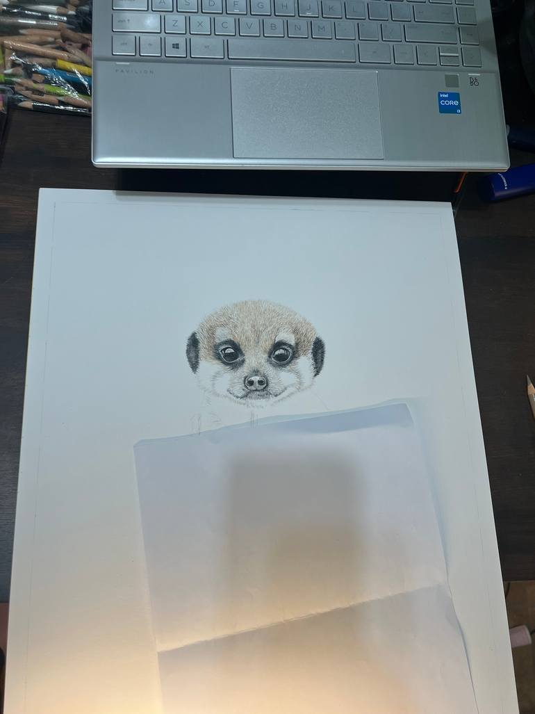 Original Photorealism Animal Drawing by Vanessa Lawrence